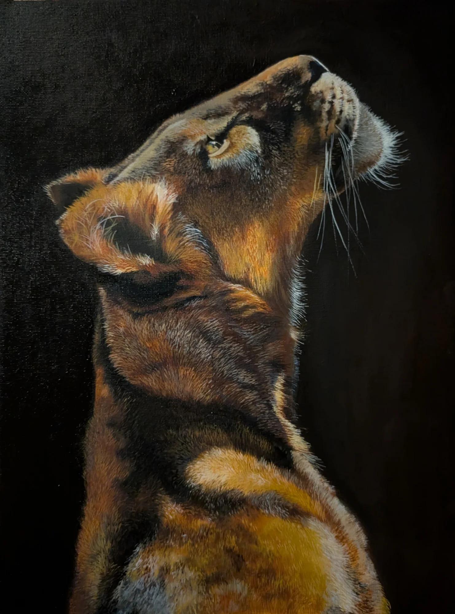 Lioness
