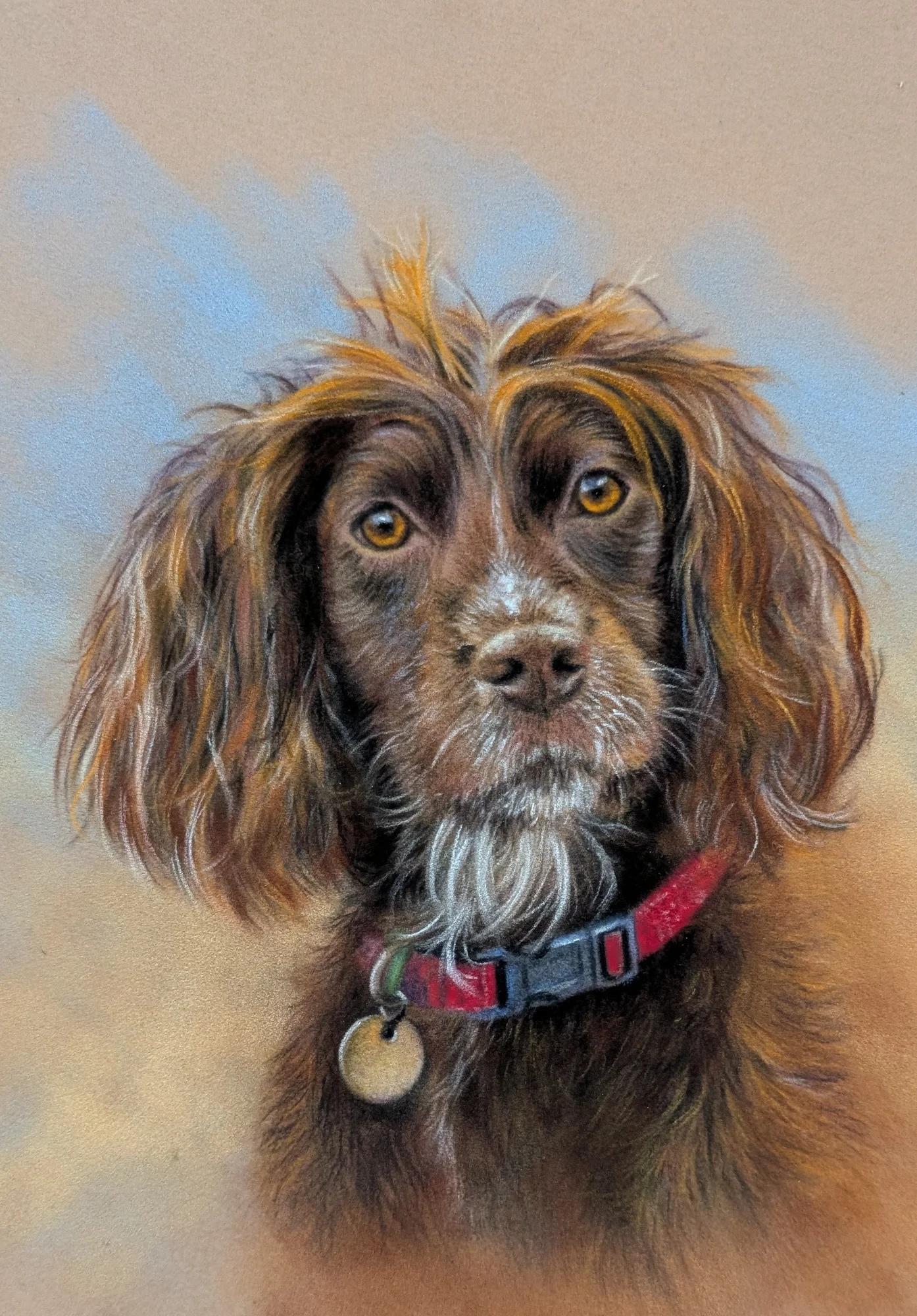 Pet Portrait