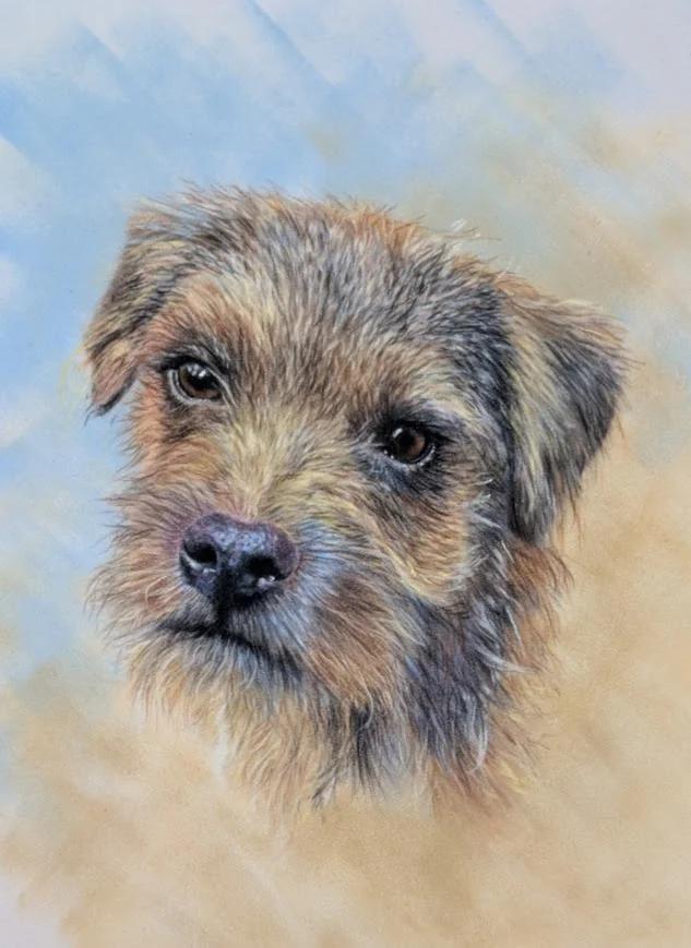 Pet Portrait
