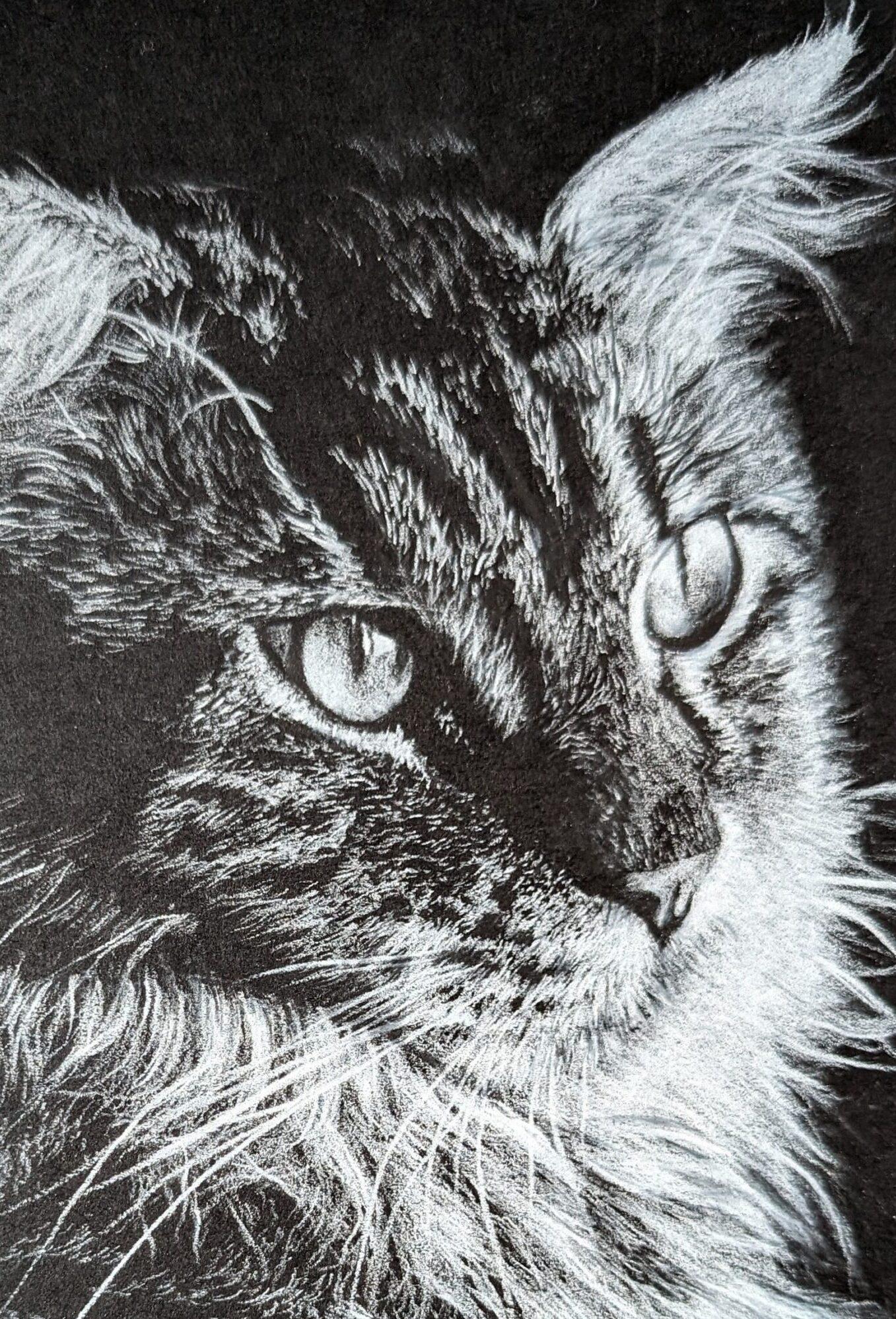 Cat Portrait