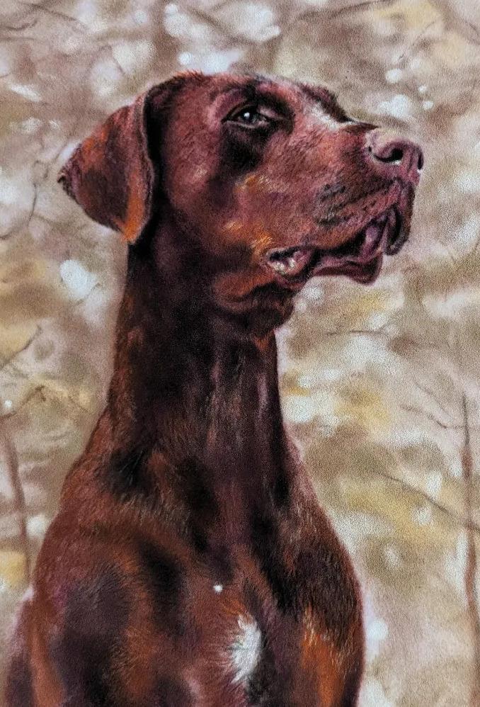 Dog Portrait