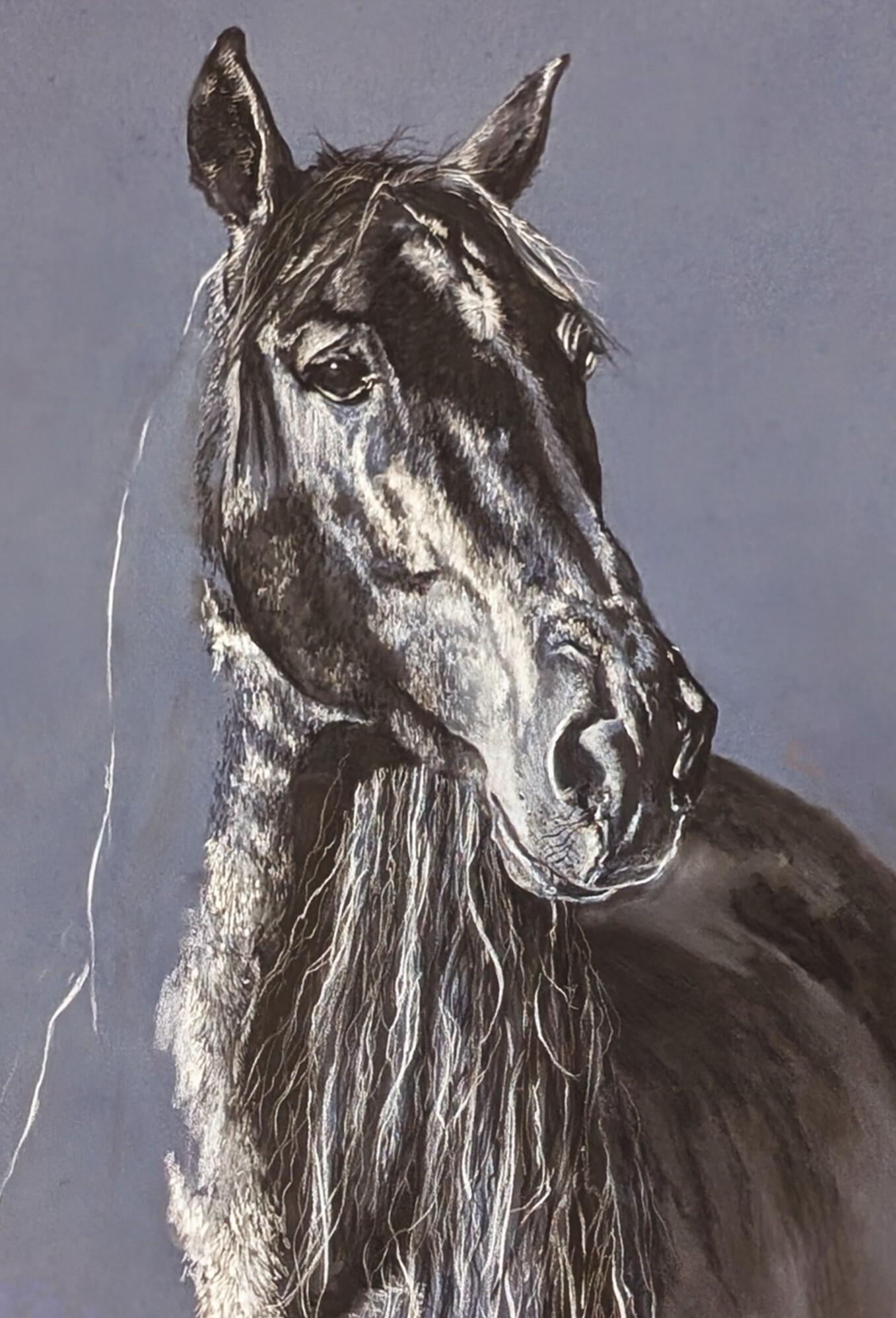 Horse Portrait